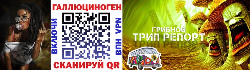 omg ТОР Нижние Серги Галлюциногенные грибы Magic Shrooms купить закладку